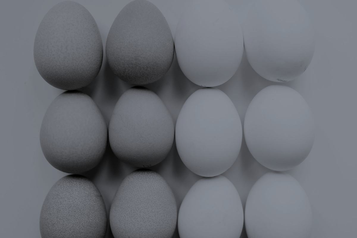 Brown and white eggs arranged in a grid.