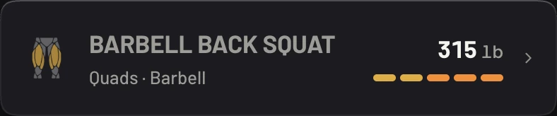 An exercise row: Barbell Back Squat, quads, barbell, 315 lb, with five session pips.